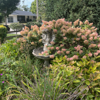 Imports - 103 of 115