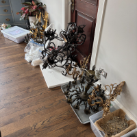 Imports - 11 of 26