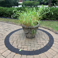 Imports - 249 of 251